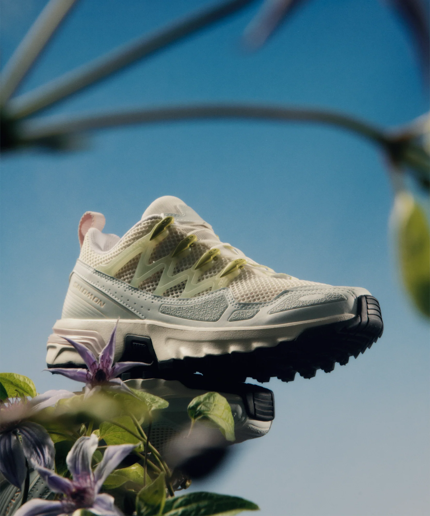 ACS + OG ALPEN BLOSSOM - Image 3