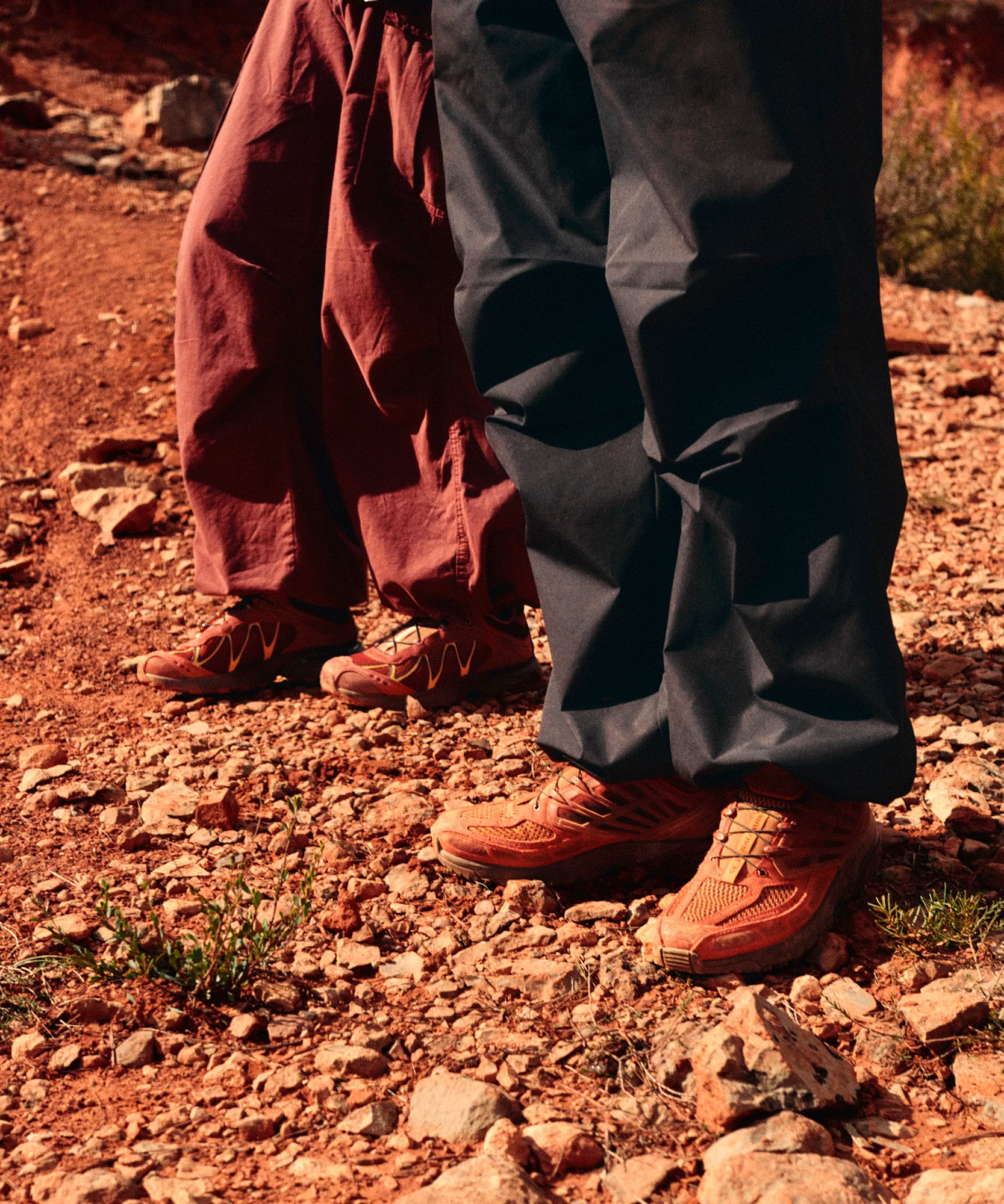 ACS PRO RED ASHES - Image 3