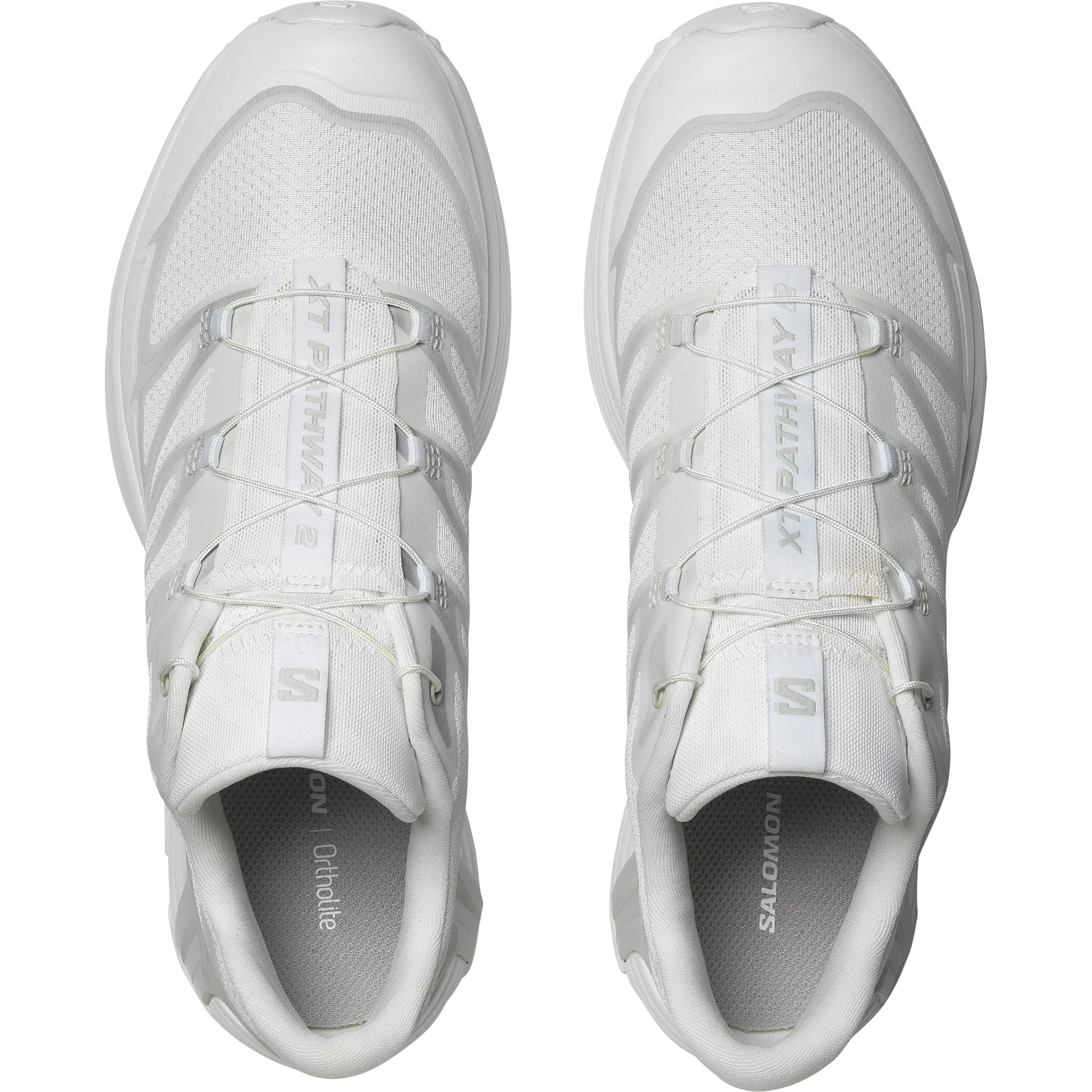 XT-PATHWAY 2 - Image 5