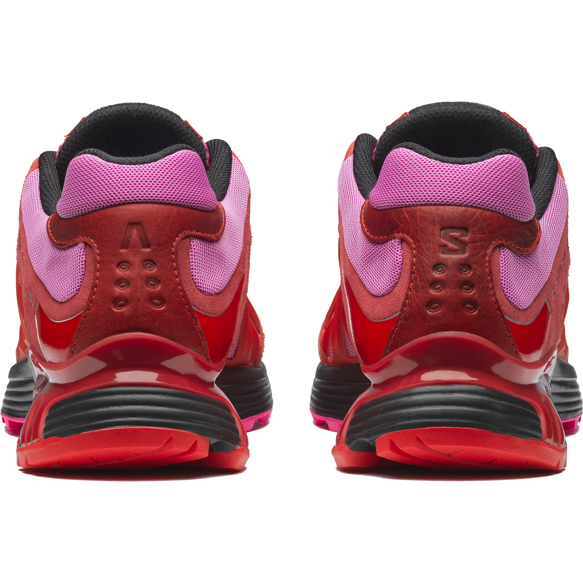 XT WHISPER ARIES - Image 4