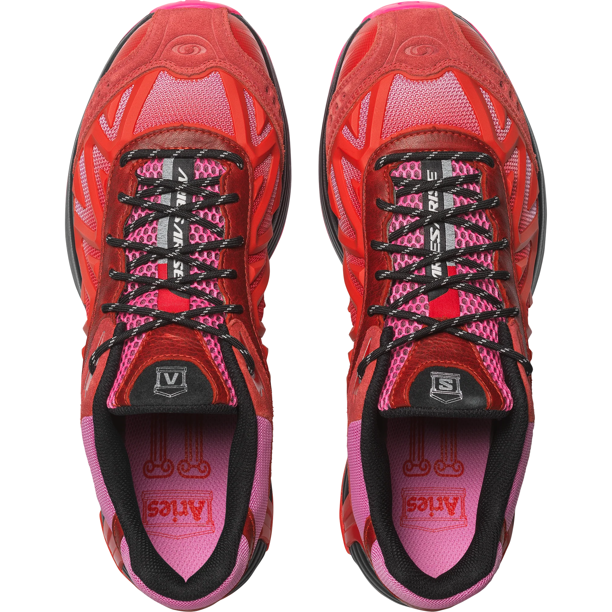 XT WHISPER ARIES - Image 5