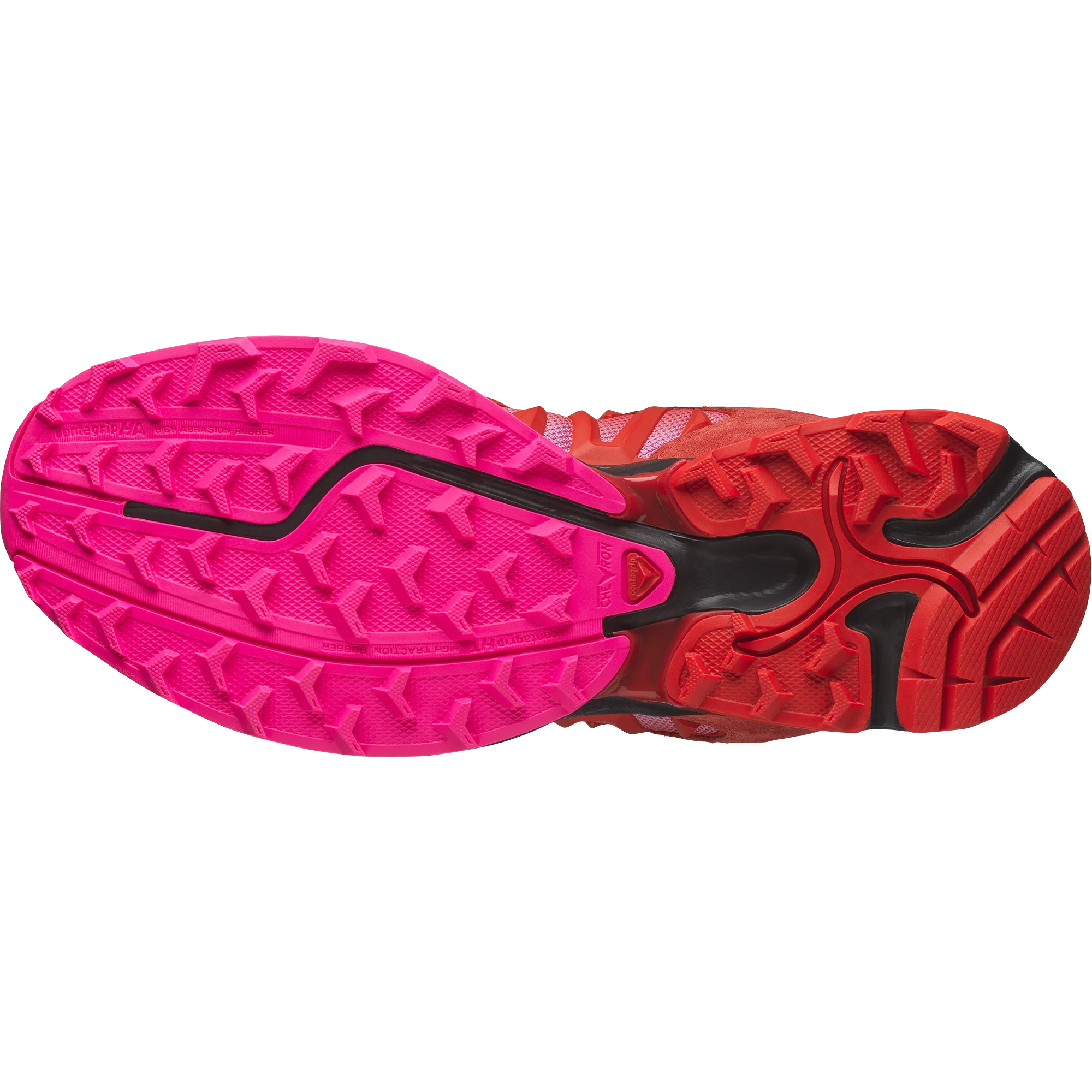 XT WHISPER ARIES - Image 6